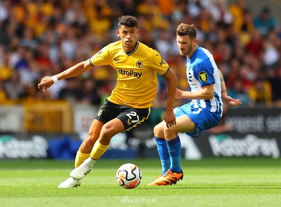 了感动与思 了感动与思